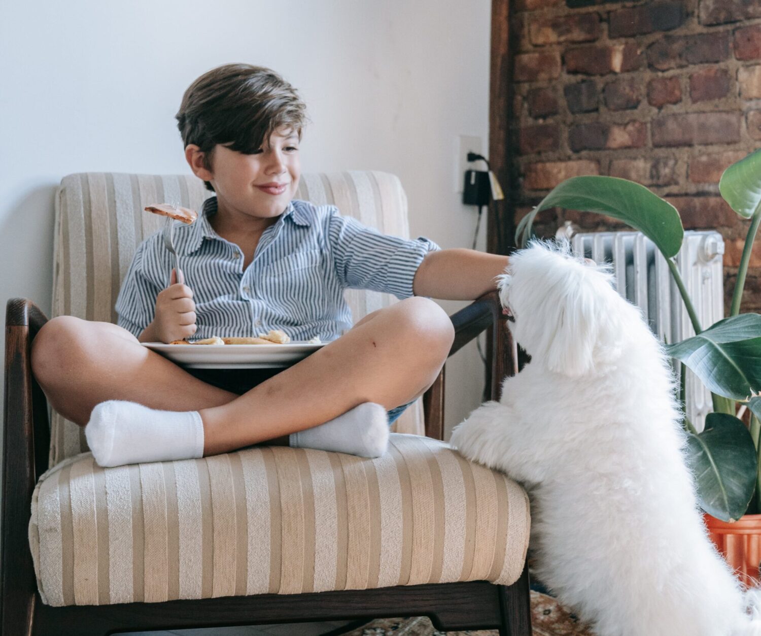 Thanksgiving dinner means table scraps for our pets, but what's safe for them to eat? – Houston Public Media - Vimarsana News