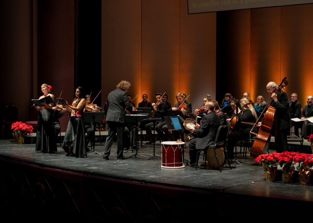 Chamber orchestra performing on stage