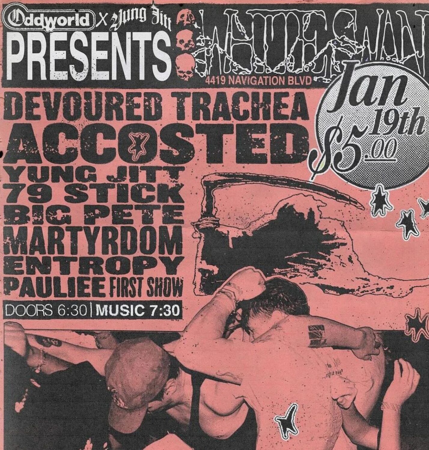 Houston black metal band faces backlash after severed pig's head was passed around concert crowd – Houston Public Media - Vimarsana News