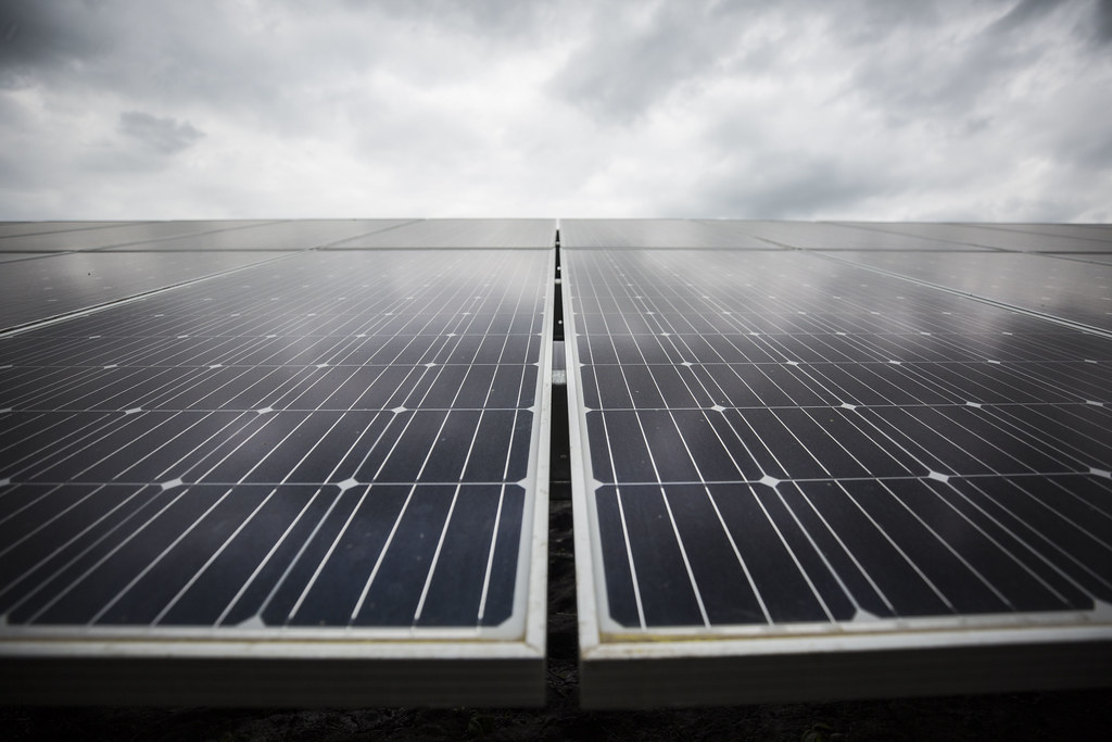Texas just broke a record for how much power it got from the sun – Houston Public Media - Vimarsana News