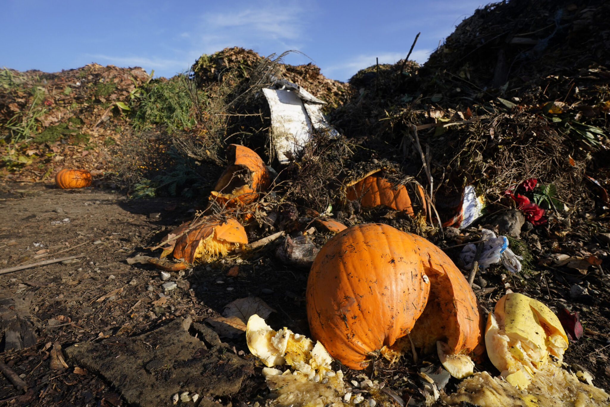 City of Houston launches free composting program through February ...