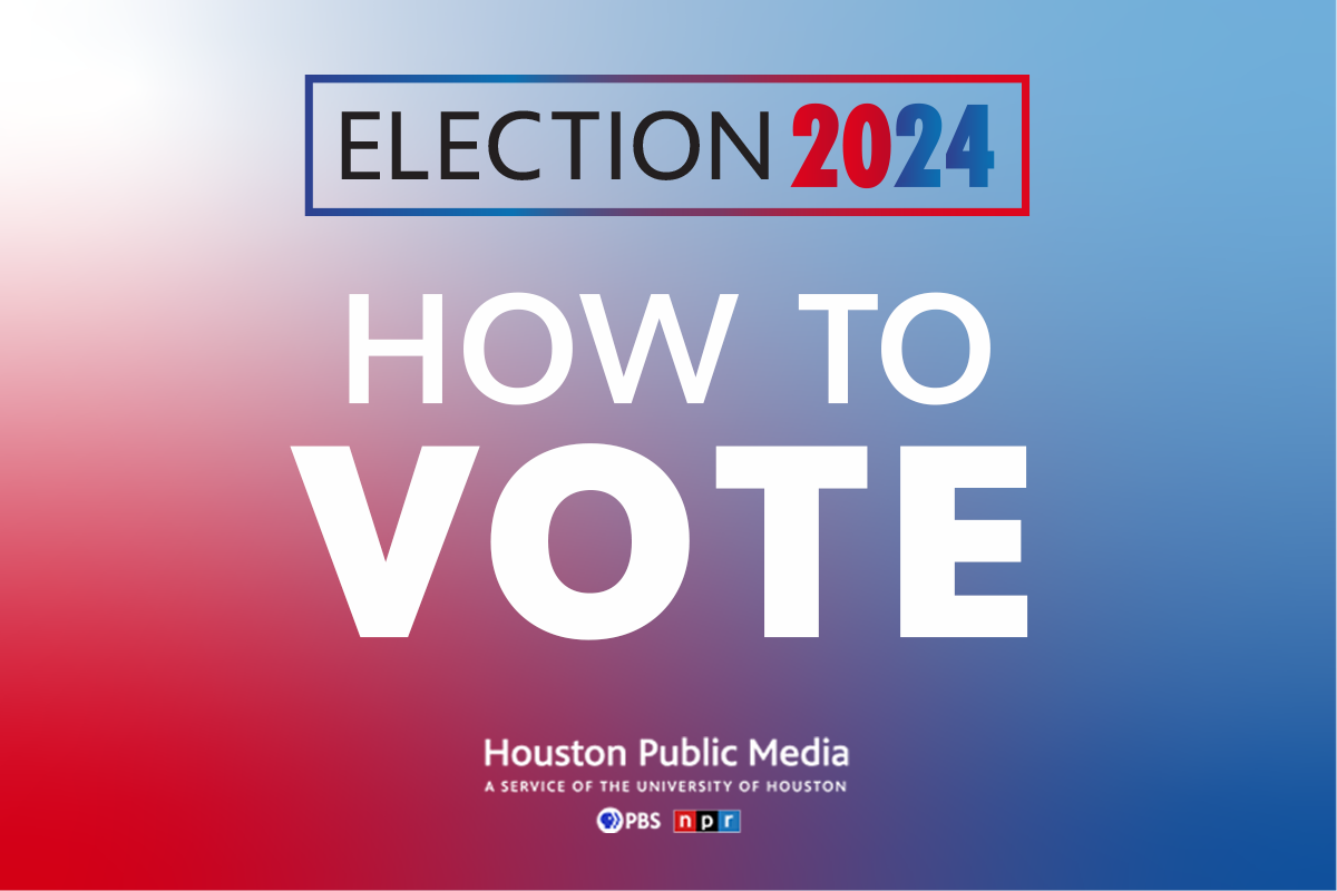 Voter Guide 2024 Dallas Perle Brandice