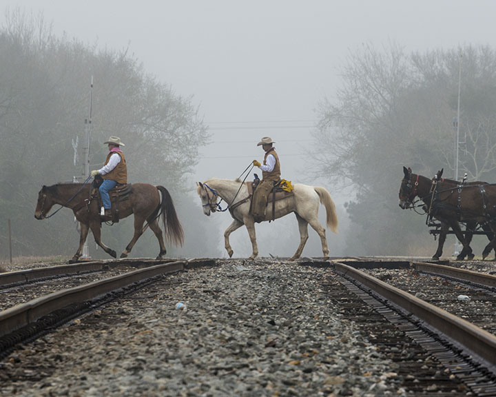 All Roads Lead to Houston The history and legacy of the rodeo trail