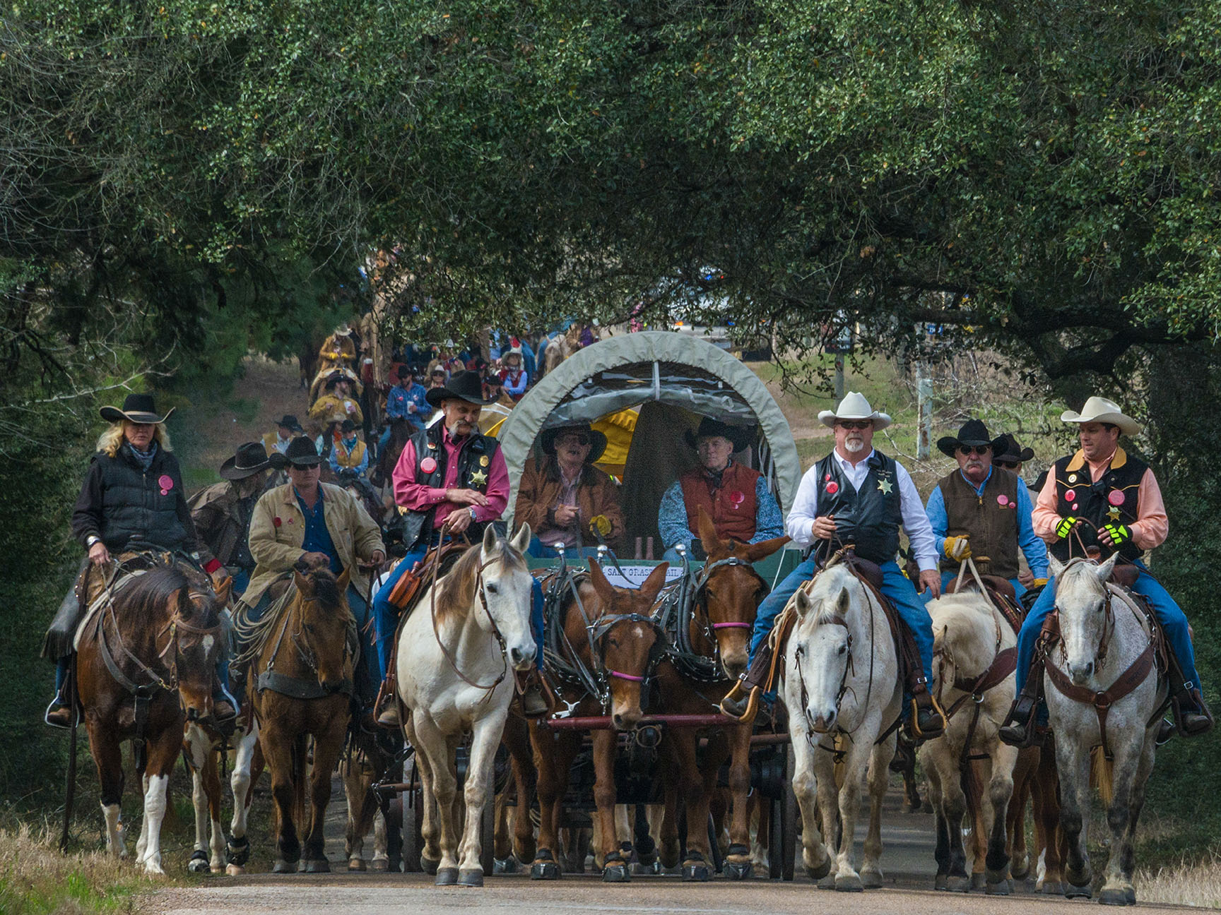 All Roads Lead to Houston The history and legacy of the rodeo trail