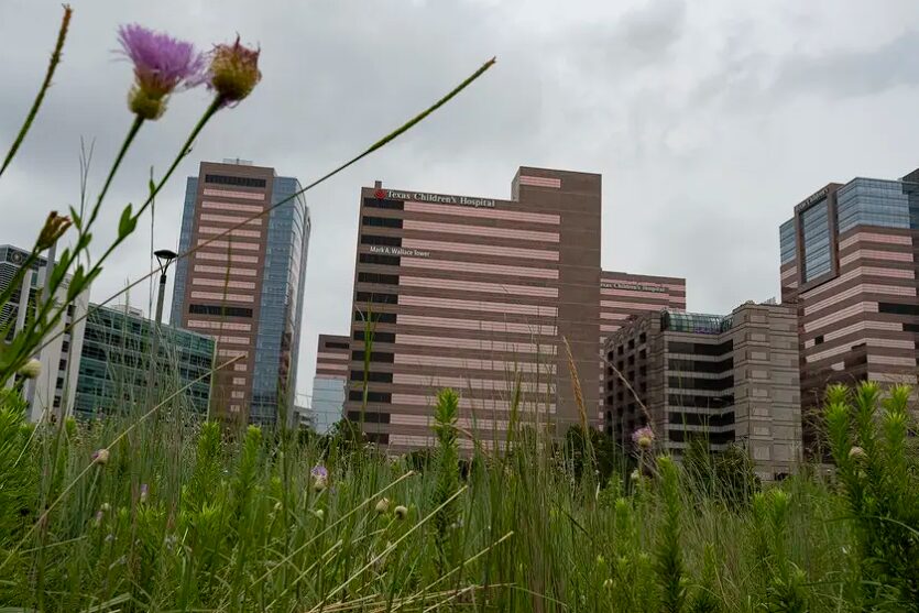 Texas Children’s Hospital and other buildings in the Texas Medical Center in Houston on June 26, 2020. Credit: May-Ying Lam for the Texas Tribune