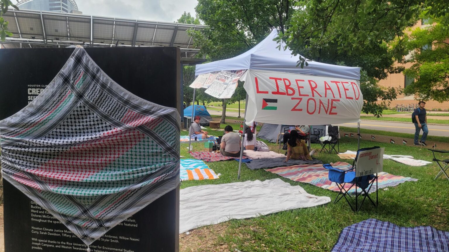 Janet Rice Protest Rice University students take part in nationwide pro-Palestinian ...