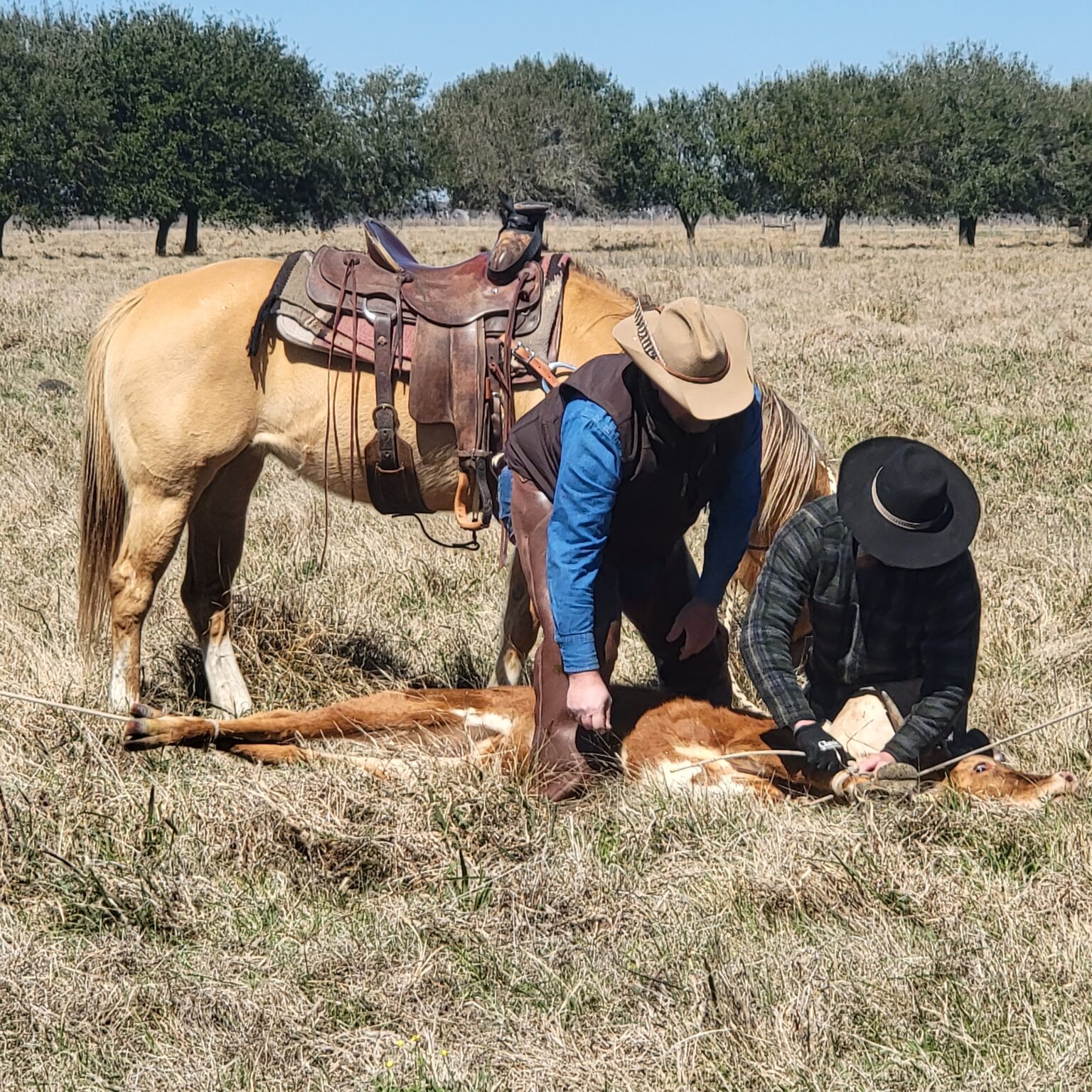 The George Ranch in Fort Bend County celebrates 200th anniversary ...