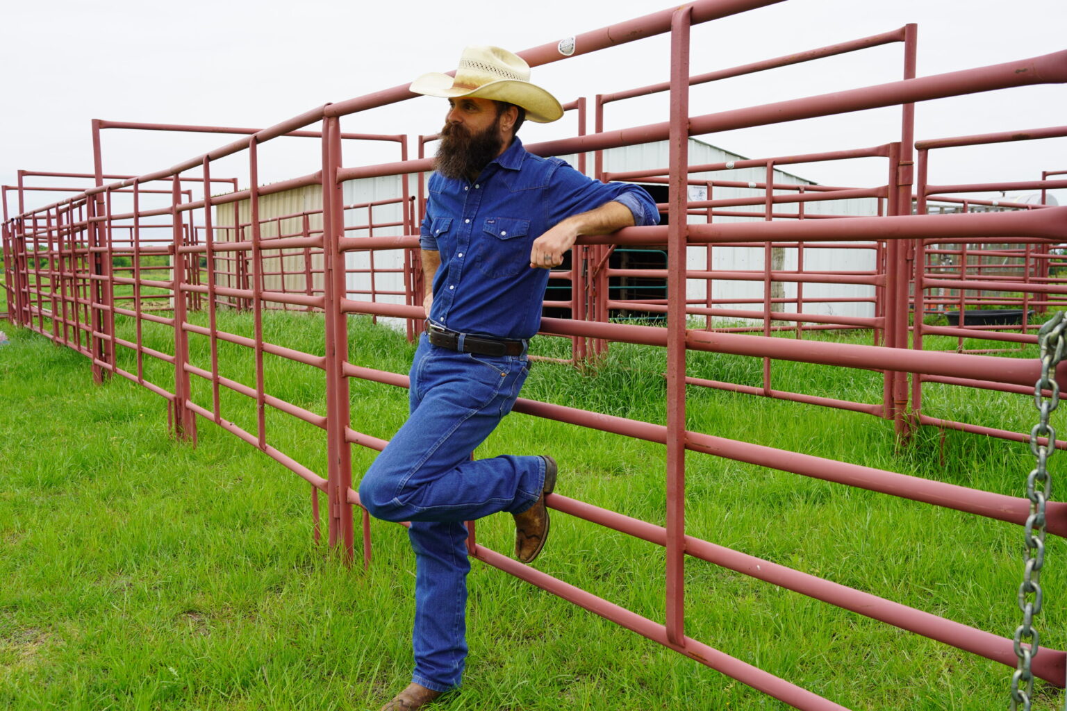 Texas cattle rancher suing U.S. government over new law that could ban ...