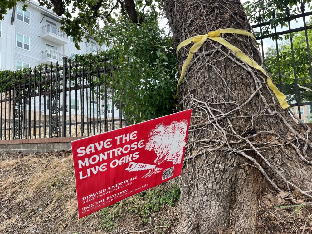 A sign by a tree