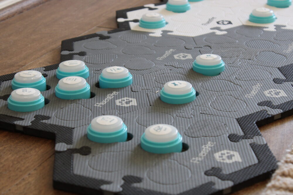 A “FluentPet” mat used to speak personalized words that dogs and cats can communicate with.