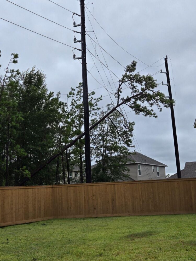 Hard-to-reach Power Lines Complicating The Restoration Of Electricity 