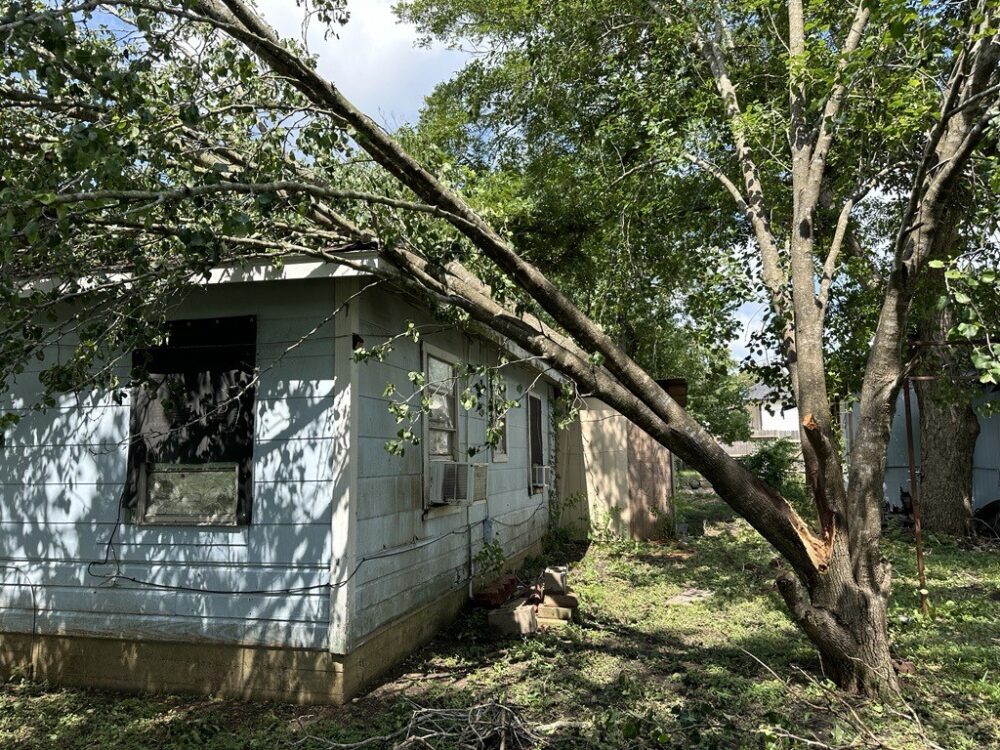 A tree fell on the side of Yolanda Gonzalez's house during Beryl.