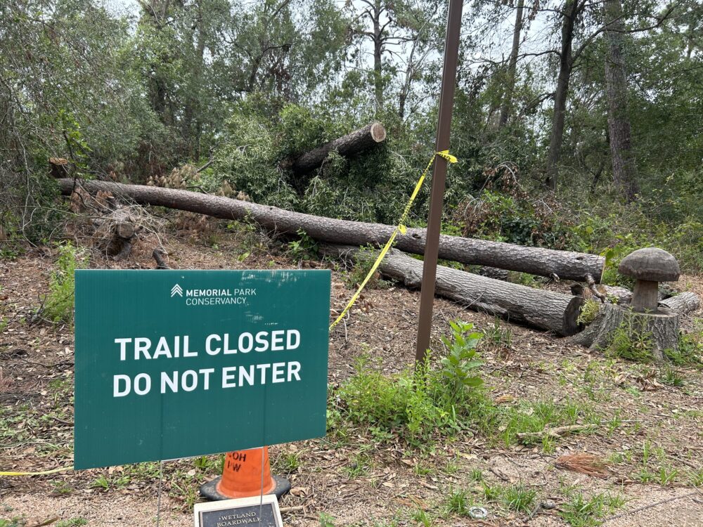 Some Houston parks partially closed due to downed trees, damage from ...