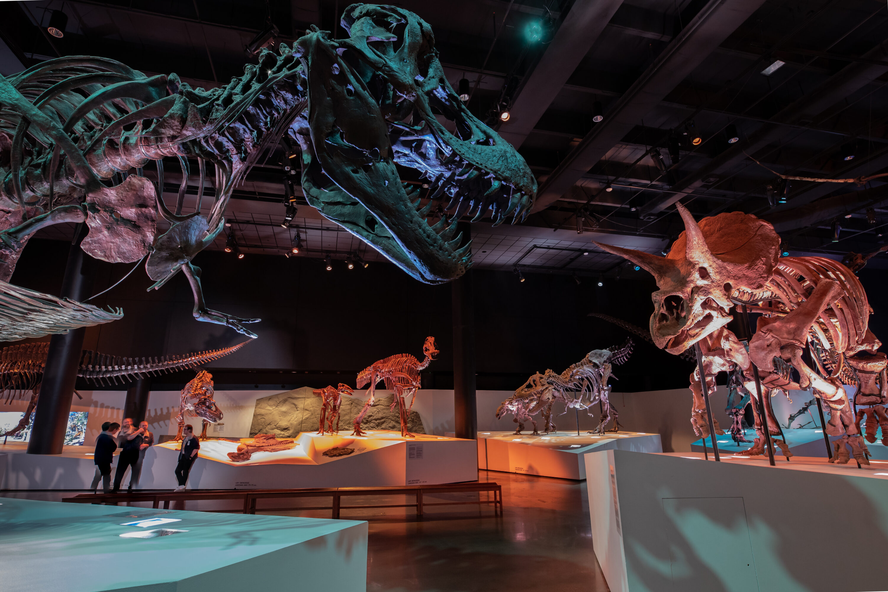 Museum Visits: The Houston Museum of Natural Science enhances lives ...