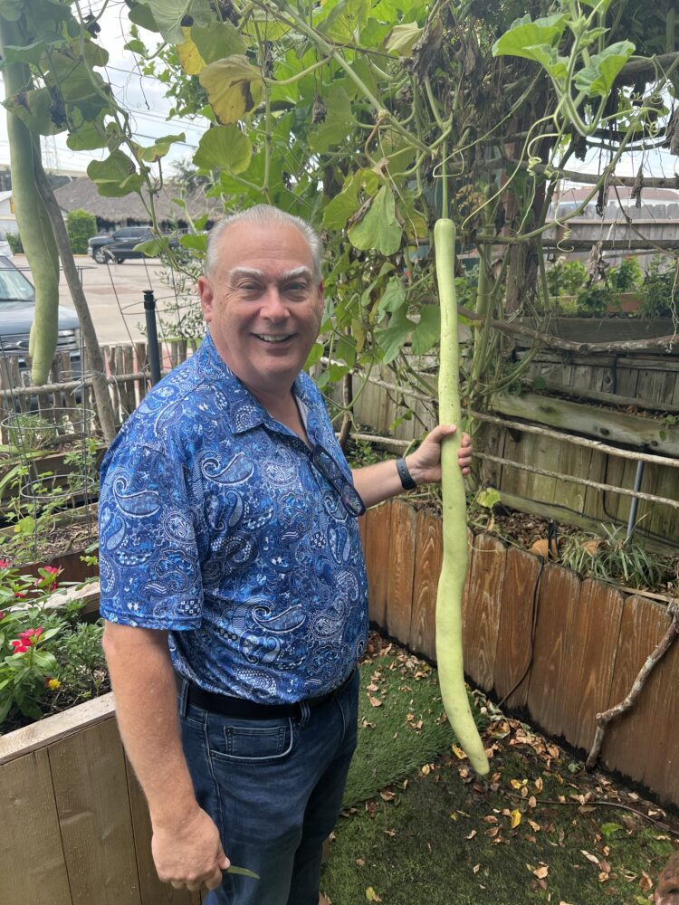 Chef David Skinner keeps a snake gourd plant in his kitchen garden.