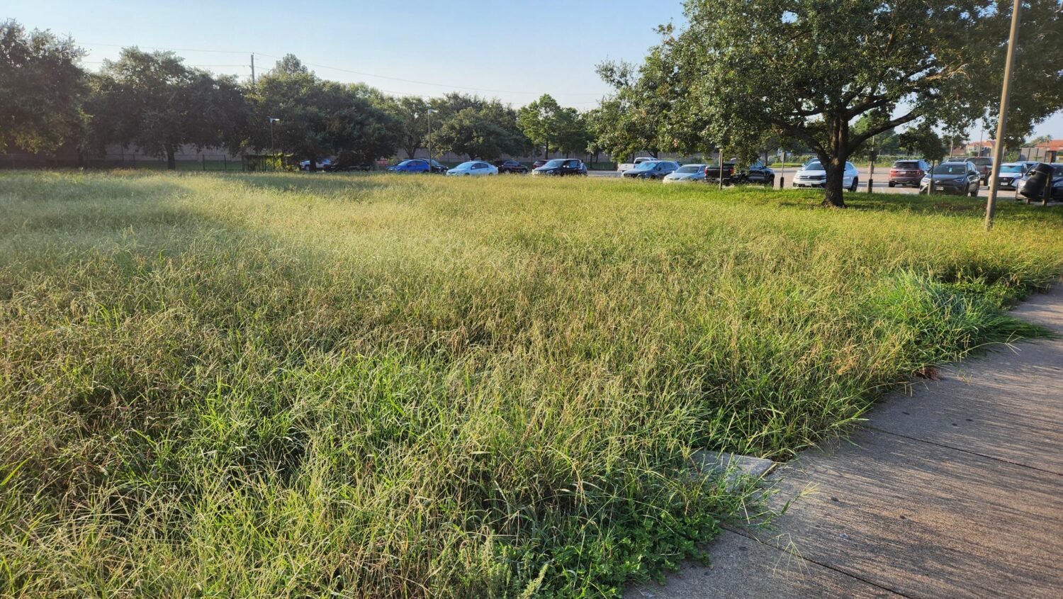 Houston ISD Begins Second Year Under State-Appointed Leadership