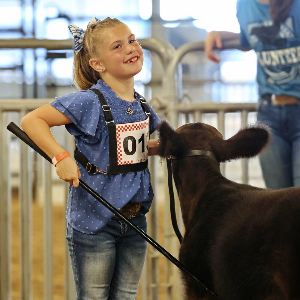 The Fort Bend County Fair is expected to draw more than 100,000 visitors this year.