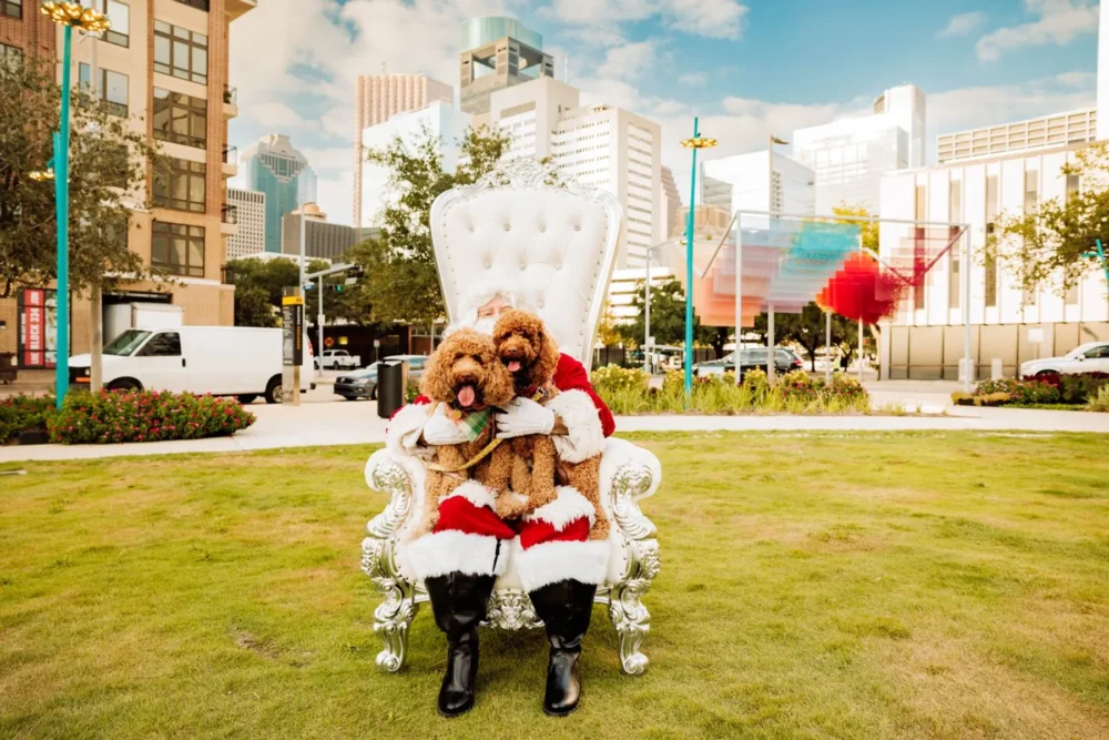 Santa berfoto dengan dua anjing di Trebly Park