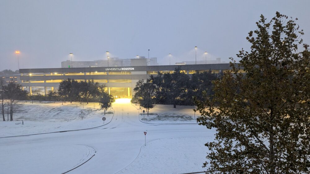 Snowfall on the edge of the University of Houston campus on January 21, 2025. (Photo Credit: Jack Williams/Houston Public Media)