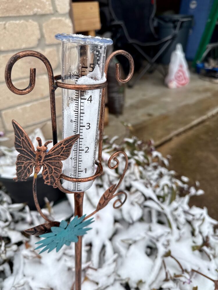 Snow gauge in someone's yard in Webster on January 21, 2025. (Photo Credit: Rob Salinas/Houston Public Media)