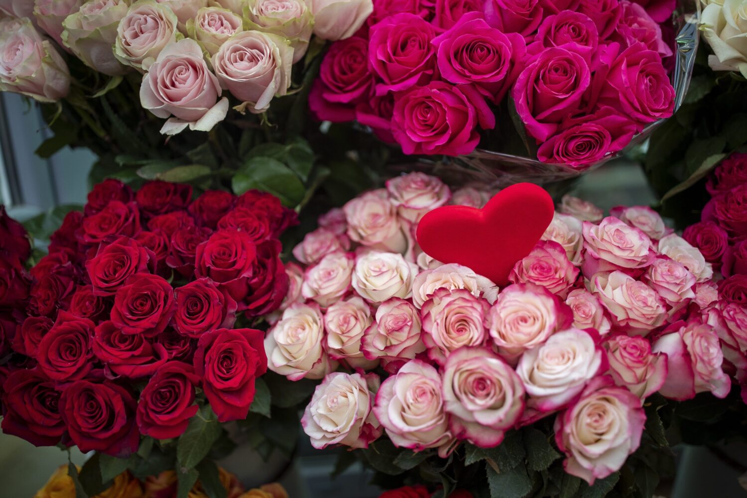 Houston flower shops brace for busy Valentine’s Day | Houston Public Media