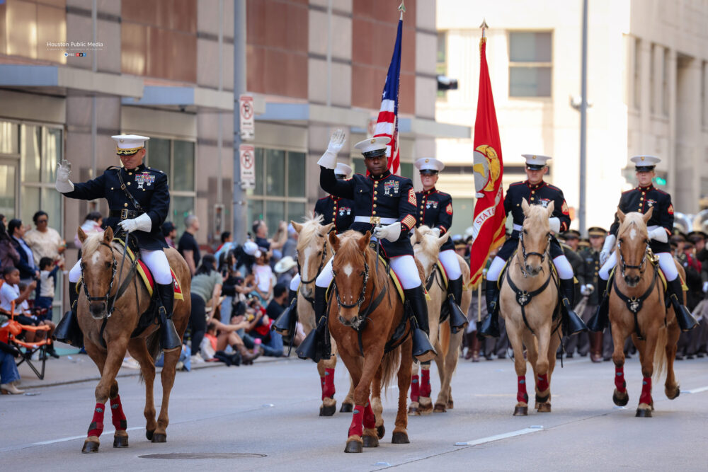 Houston Rodeo Parade 2025-26 (Kredit Foto: Rob Salinas / Houston Public Media)