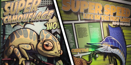 Comic book-like depictions of a chameleon and a swordfish