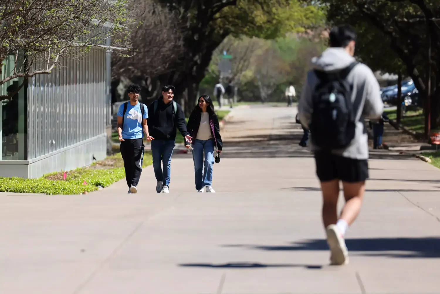 Texas launches website for complaints against state colleges, universities – Houston Public Media