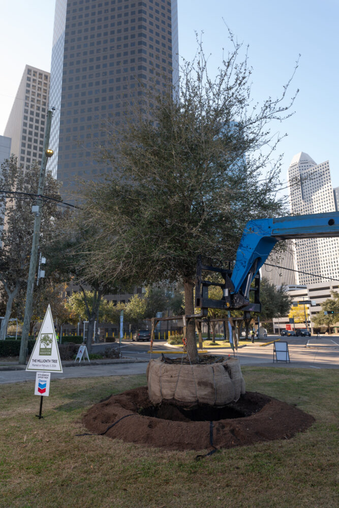 Tre Inhouston Nonprofit Trees For Houston plants its millionth tree – Houston Public ...