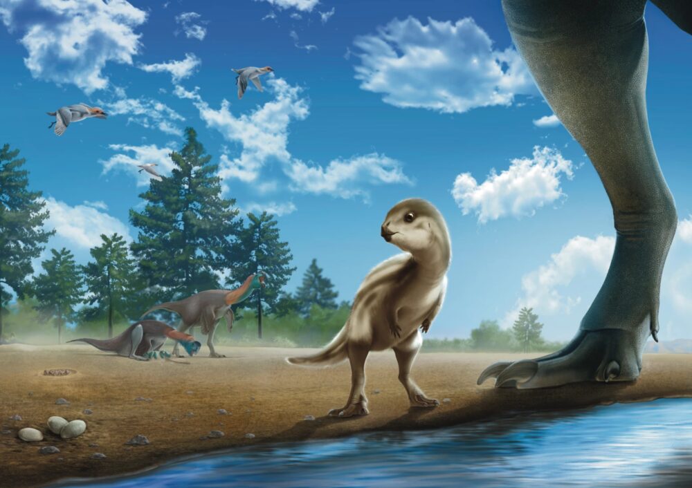 Meet Doolysaurus, the small (and maybe fuzzy) new dinosaur discovered ...