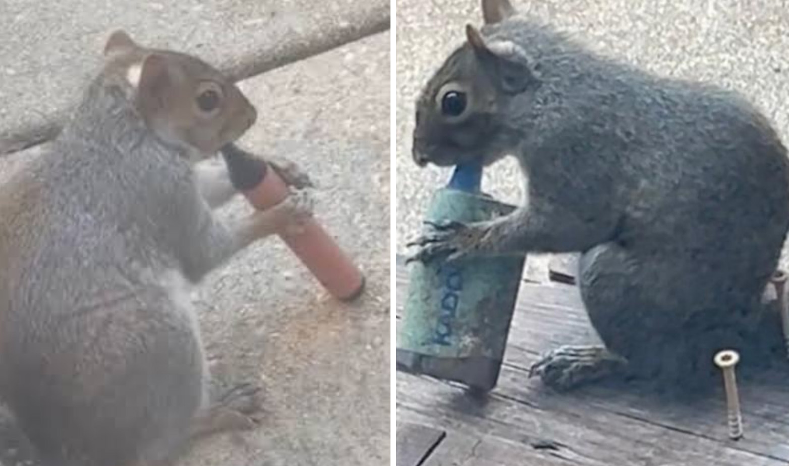 So we have vaping squirrels now? The Good, Bad, and Ugly of the week episode artwork