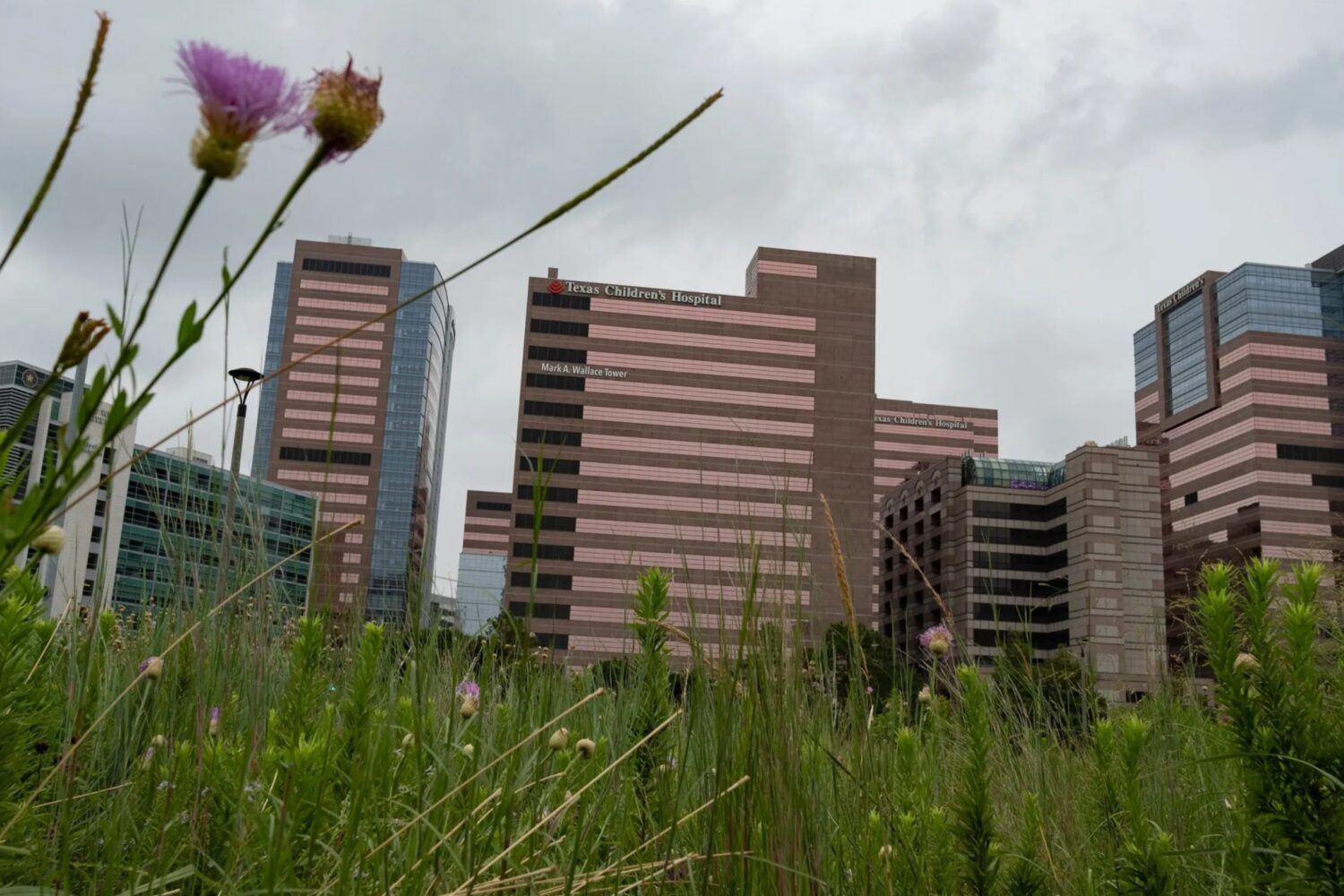 New details released on Texas Children’s Hospital’s planned detransition clinic | Houston Public Media