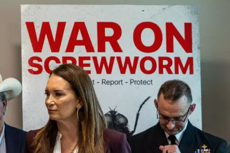 Screwworm detections in Texas grow amid expanding response