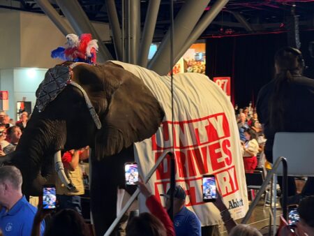 Abbott's elephant