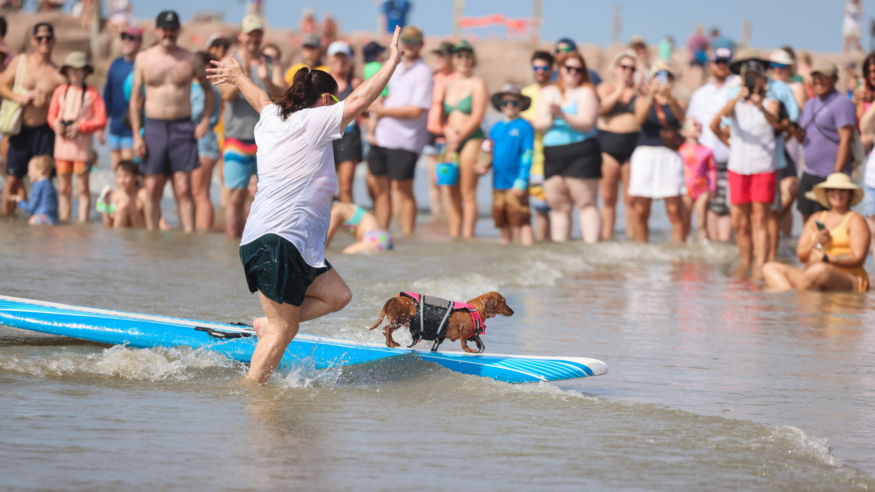 PHOTOS: Galveston Island's 13th annual dog surfing competition