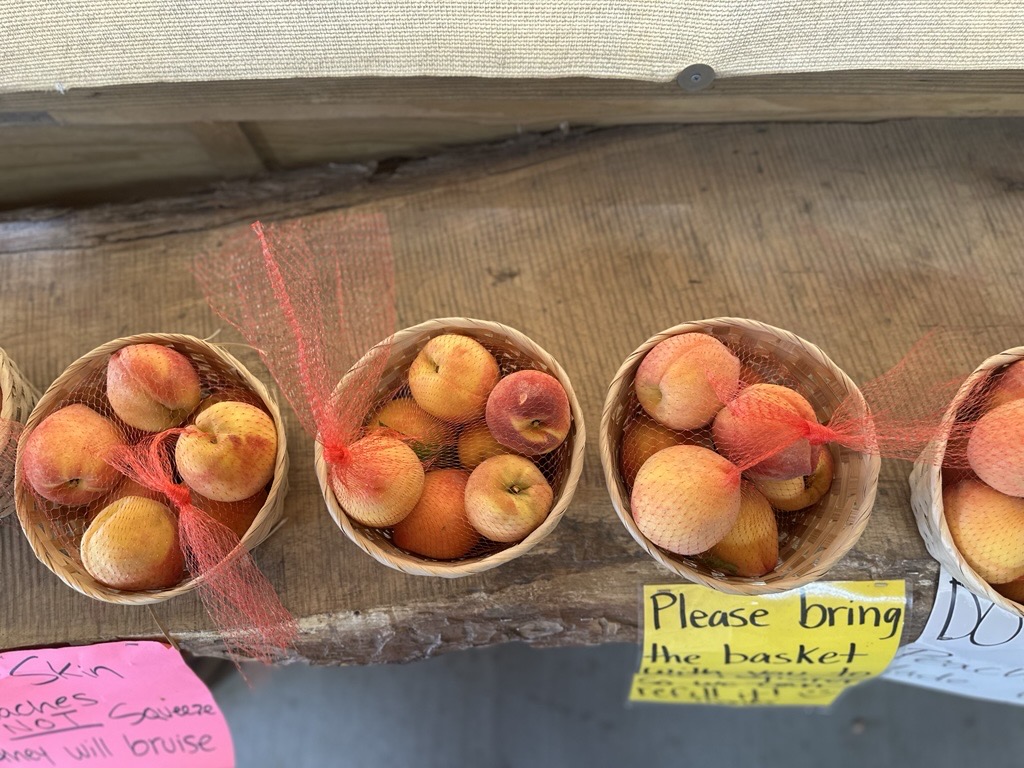 Texas peach crop devastated by warm temperatures, late freeze