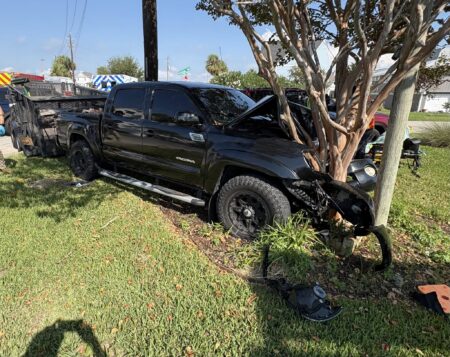Man crashes into tree while attempting to evade ICE officers in Galveston