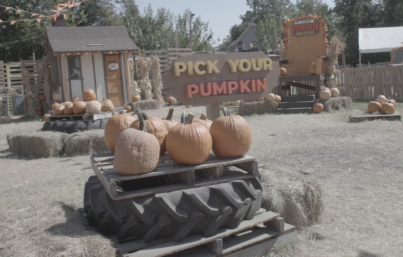 Texas pumpkin prices rise following lower than average harvest due to drought